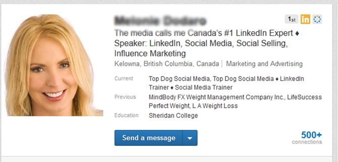 linkedin-profil5